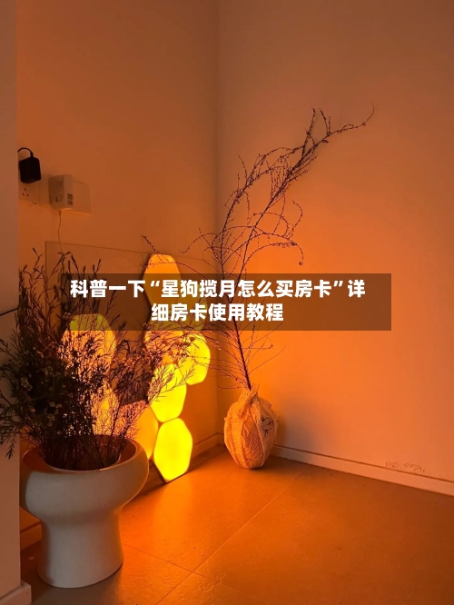 科普一下“星狗揽月怎么买房卡”详细房卡使用教程