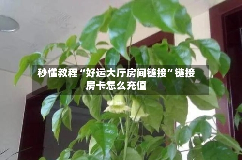 秒懂教程“好运大厅房间链接”链接房卡怎么充值