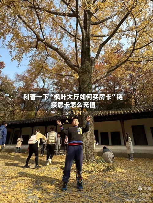 科普一下“枫叶大厅如何买房卡	”链接房卡怎么充值-第2张图片