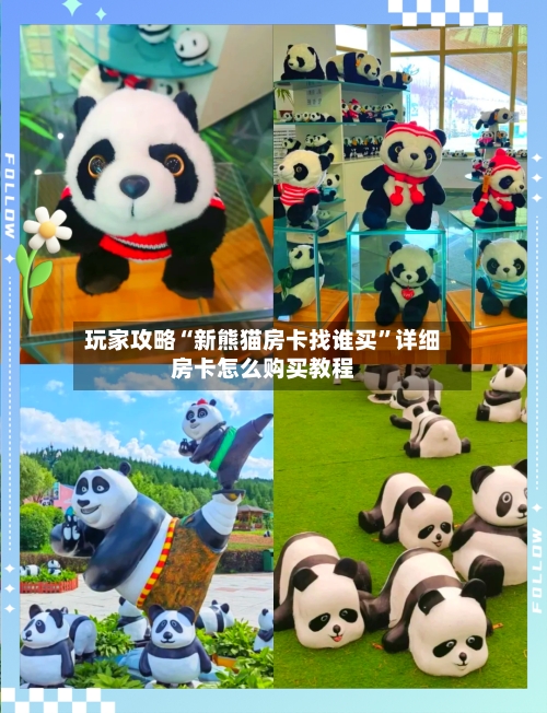 玩家攻略“新熊猫房卡找谁买”详细房卡怎么购买教程-第3张图片