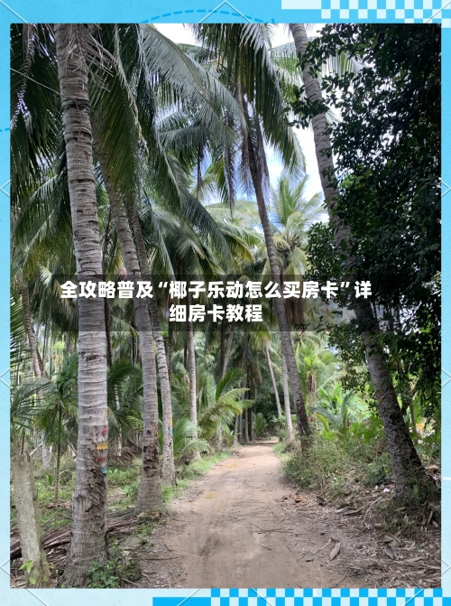 全攻略普及“椰子乐动怎么买房卡”详细房卡教程-第2张图片