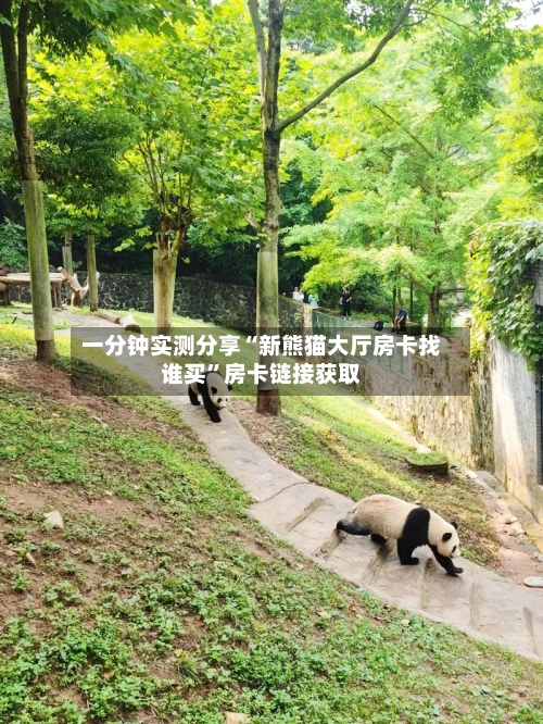 一分钟实测分享“新熊猫大厅房卡找谁买”房卡链接获取-第2张图片