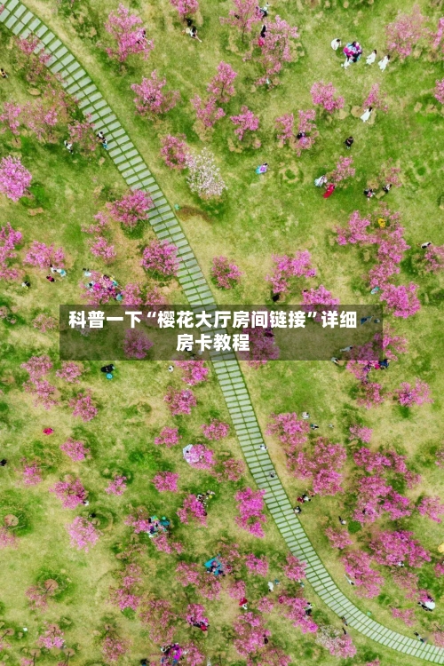 科普一下“樱花大厅房间链接”详细房卡教程