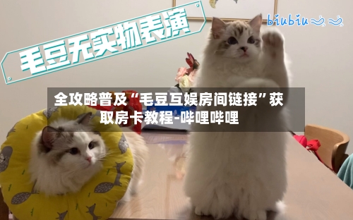 全攻略普及“毛豆互娱房间链接”获取房卡教程-哔哩哔哩