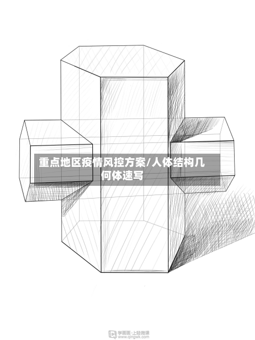 重点地区疫情风控方案/人体结构几何体速写