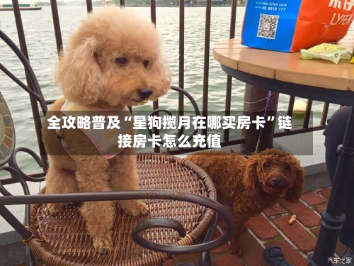 全攻略普及“星狗揽月在哪买房卡”链接房卡怎么充值