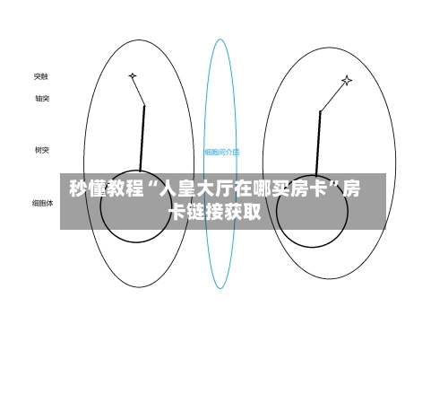 秒懂教程“人皇大厅在哪买房卡”房卡链接获取
