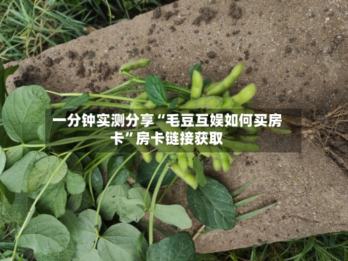 一分钟实测分享“毛豆互娱如何买房卡	”房卡链接获取-第2张图片