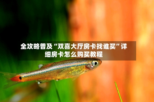 全攻略普及“双喜大厅房卡找谁买”详细房卡怎么购买教程-第3张图片