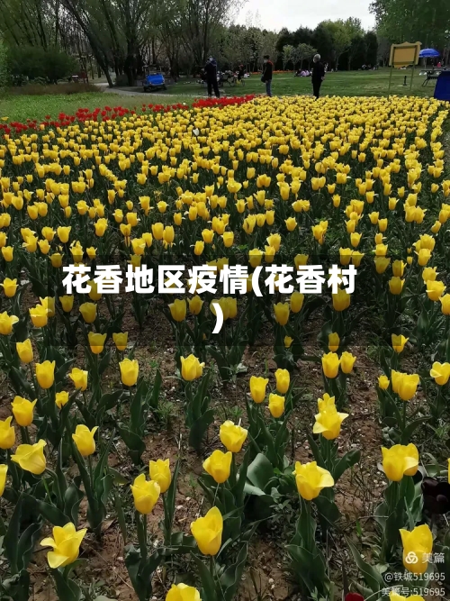 花香地区疫情(花香村)-第2张图片