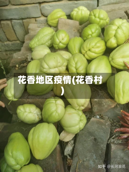 花香地区疫情(花香村)-第3张图片