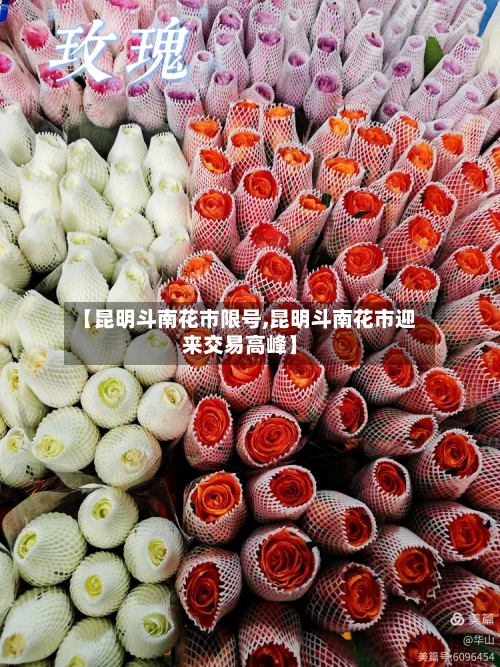 【昆明斗南花市限号,昆明斗南花市迎来交易高峰】