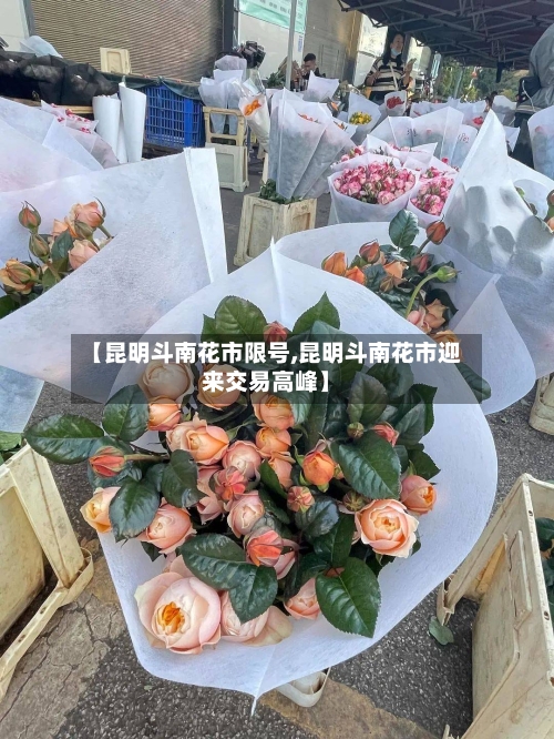 【昆明斗南花市限号,昆明斗南花市迎来交易高峰】-第3张图片