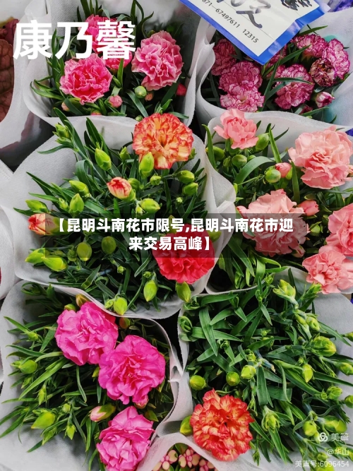 【昆明斗南花市限号,昆明斗南花市迎来交易高峰】-第2张图片