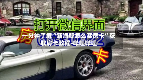 一分钟了解“新海鲸怎么买房卡”获取房卡教程-哔哩哔哩-第2张图片