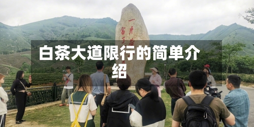 白茶大道限行的简单介绍