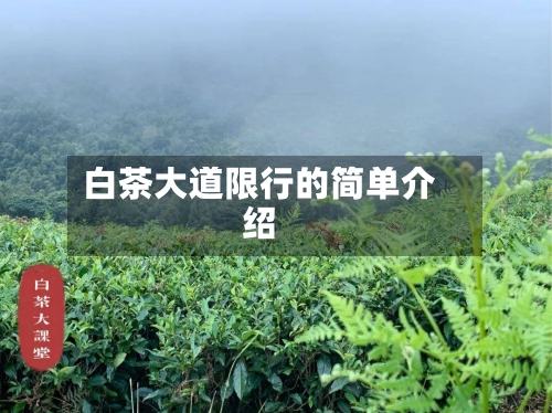 白茶大道限行的简单介绍-第3张图片