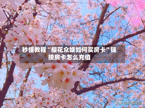 秒懂教程“樱花众娱如何买房卡	”链接房卡怎么充值-第3张图片