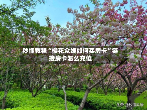秒懂教程“樱花众娱如何买房卡”链接房卡怎么充值-第2张图片