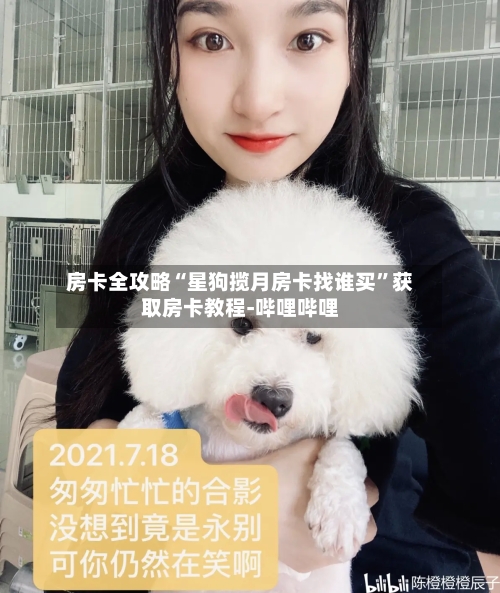 房卡全攻略“星狗揽月房卡找谁买”获取房卡教程-哔哩哔哩-第2张图片