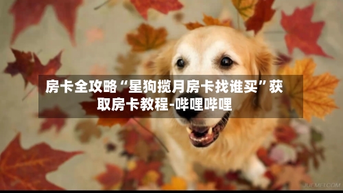 房卡全攻略“星狗揽月房卡找谁买”获取房卡教程-哔哩哔哩-第3张图片