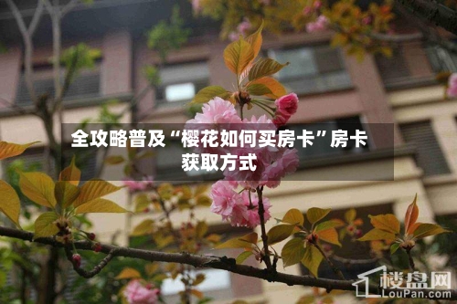 全攻略普及“樱花如何买房卡	”房卡获取方式-第2张图片