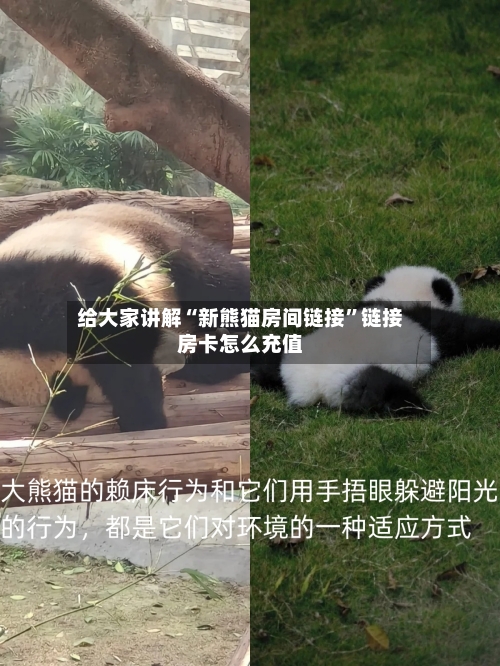 给大家讲解“新熊猫房间链接”链接房卡怎么充值