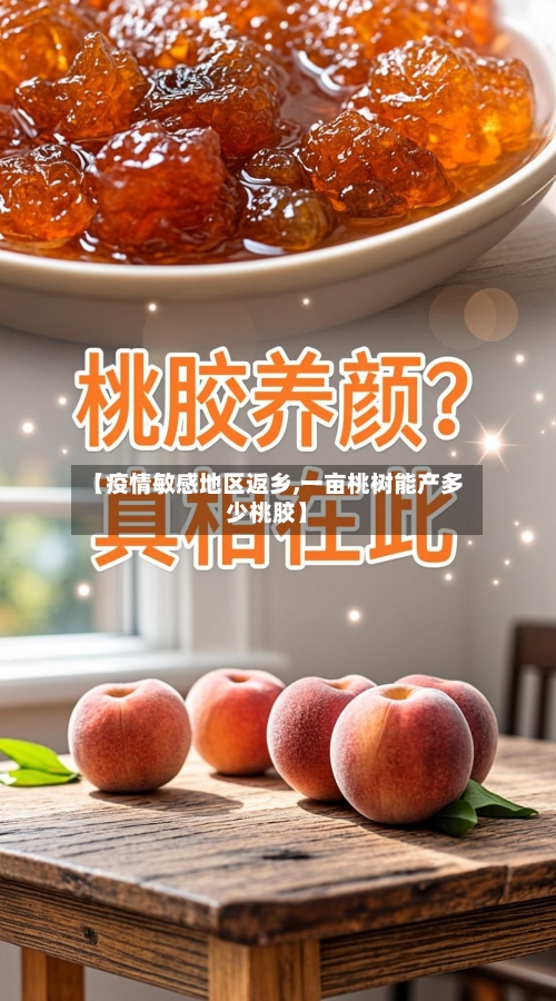 【疫情敏感地区返乡,一亩桃树能产多少桃胶】