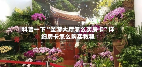 科普一下“圣游大厅怎么买房卡”详细房卡怎么购买教程-第2张图片