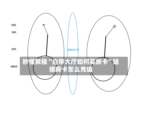 秒懂教程“白帝大厅如何买房卡”链接房卡怎么充值-第3张图片