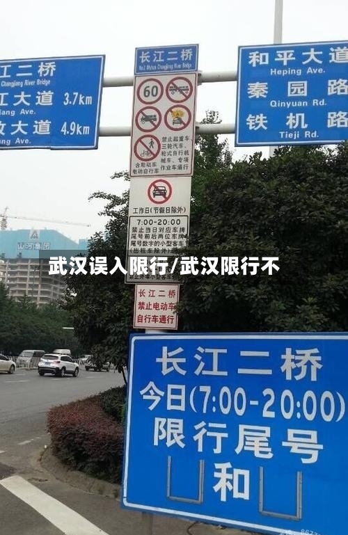 武汉误入限行/武汉限行不