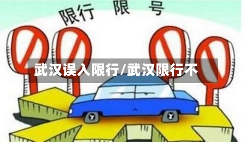武汉误入限行/武汉限行不-第3张图片