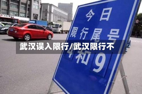 武汉误入限行/武汉限行不-第2张图片