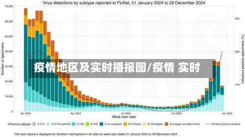 疫情地区及实时播报图/疫情 实时-第2张图片