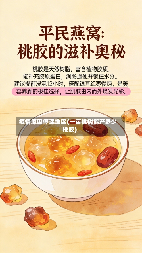 疫情原因停课地区(一亩桃树能产多少桃胶)
