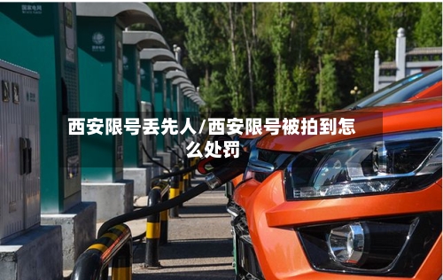 西安限号丢先人/西安限号被拍到怎么处罚-第3张图片