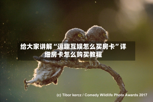 给大家讲解“逗趣互娱怎么买房卡”详细房卡怎么购买教程-第2张图片