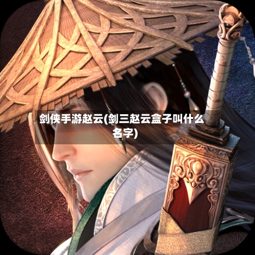 剑侠手游赵云(剑三赵云盒子叫什么名字)
