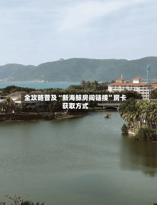 全攻略普及“新海鲸房间链接”房卡获取方式