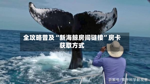 全攻略普及“新海鲸房间链接”房卡获取方式-第3张图片