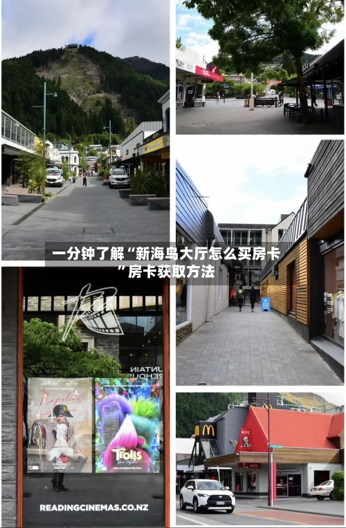 一分钟了解“新海鸟大厅怎么买房卡	”房卡获取方法-第2张图片