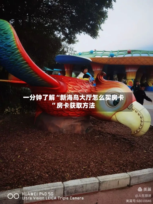 一分钟了解“新海鸟大厅怎么买房卡”房卡获取方法