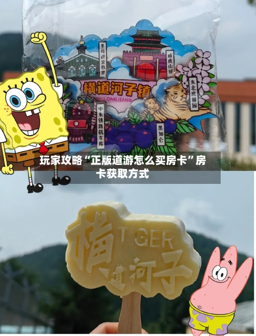 玩家攻略“正版道游怎么买房卡”房卡获取方式-第2张图片