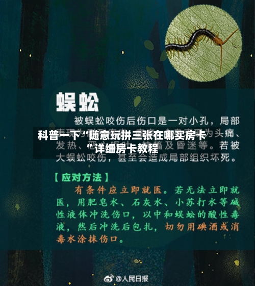 科普一下“随意玩拼三张在哪买房卡”详细房卡教程-第2张图片