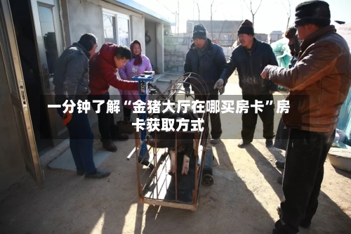 一分钟了解“金猪大厅在哪买房卡”房卡获取方式