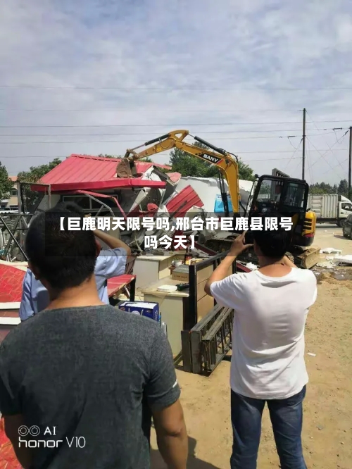 【巨鹿明天限号吗,邢台市巨鹿县限号吗今天】-第2张图片