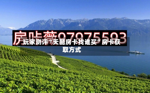 玩家测评“天酷房卡找谁买	”房卡获取方式-第3张图片