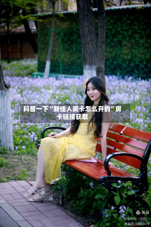 科普一下“新佳人房卡怎么开的”房卡链接获取-第3张图片