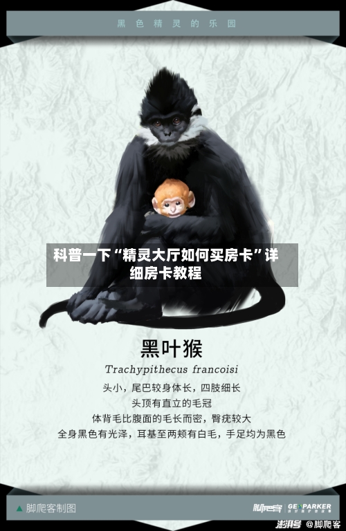 科普一下“精灵大厅如何买房卡”详细房卡教程-第2张图片