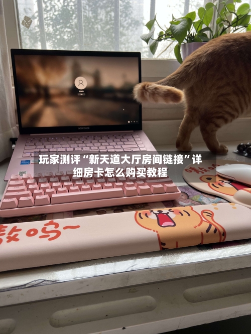 玩家测评“新天道大厅房间链接”详细房卡怎么购买教程